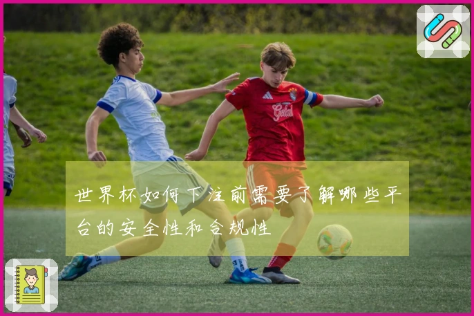 世界杯如何下注前需要了解哪些平台的安全性和合规性