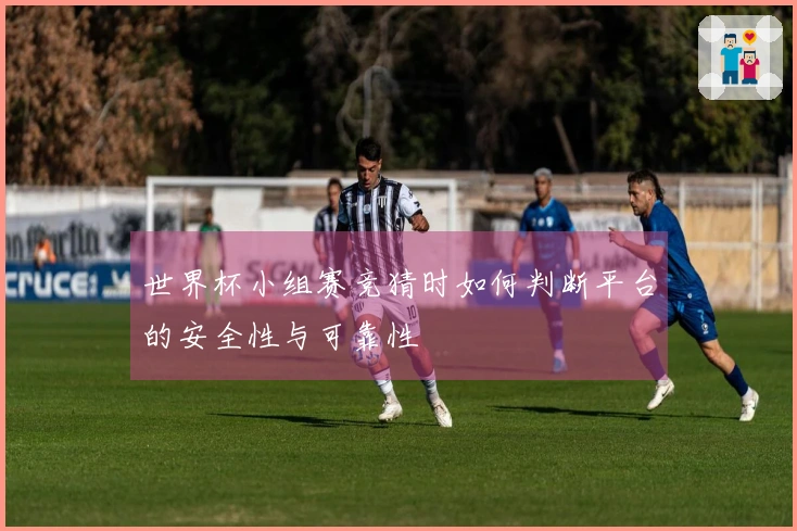 世界杯小组赛竞猜时如何判断平台的安全性与可靠性