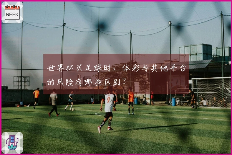 世界杯买足球时，体彩与其他平台的风险有哪些区别？