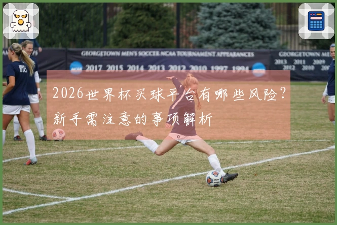 2026世界杯买球平台有哪些风险？新手需注意的事项解析