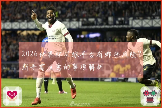 2026世界杯买球平台有哪些风险？新手需注意的事项解析