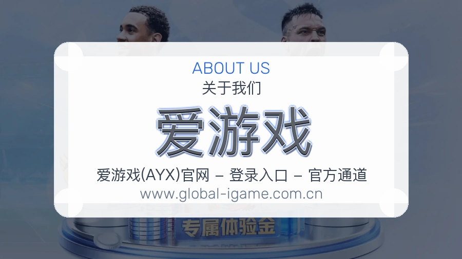 说明维护